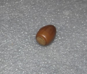 我们在一条船后面发现了一个坚果