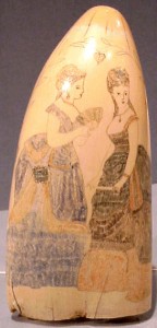 时尚贝雕牙齿。