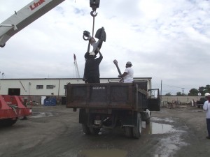 回家去博物馆。