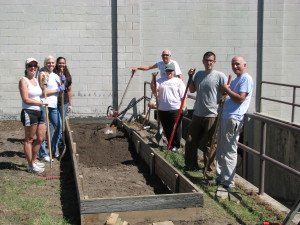 Community Garden 090713 018