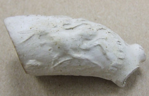 这是一块管石是在龙森号的船体上发现的。与龙森船藏品中发现的其他管石相比，它有最详细的细节。