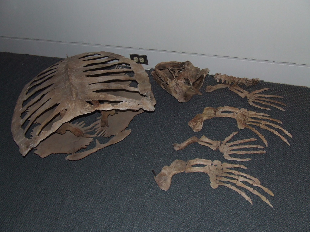 一些组装要求。