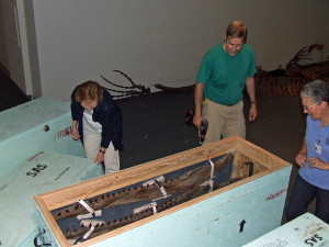 哈哈! !另一箱打开! !