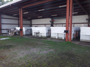 所有储罐的工作都已完成。