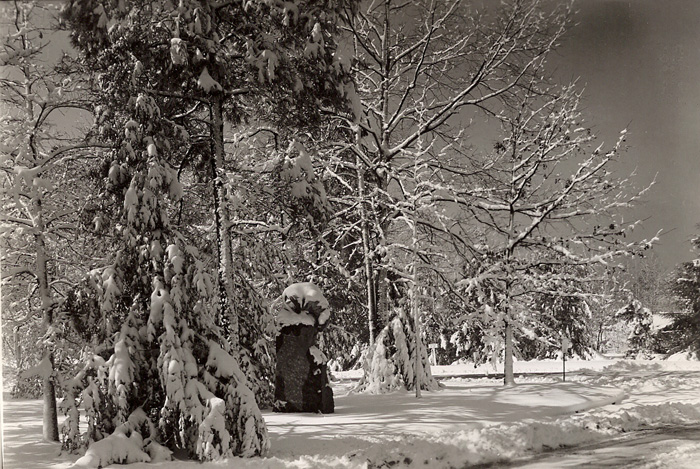 1947年3月9日公园的雪