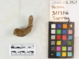 在涝渍后仍然有松散的细树脂味道。