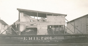 征服从NJ向TMM，1934（3）发货的野外