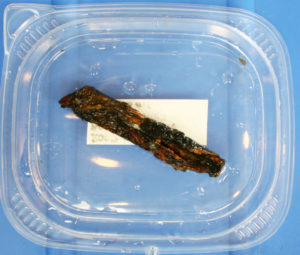 在炮塔的Nutguard背后发现的器具手柄