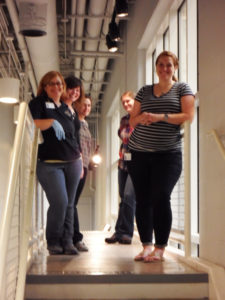 见见管理员和收藏团队吧!