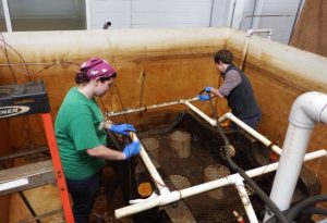 劳丽和我在清理右舷火炮车厢的坦克