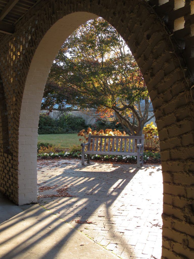 我们募款办公室外美丽的秋日午后景色。