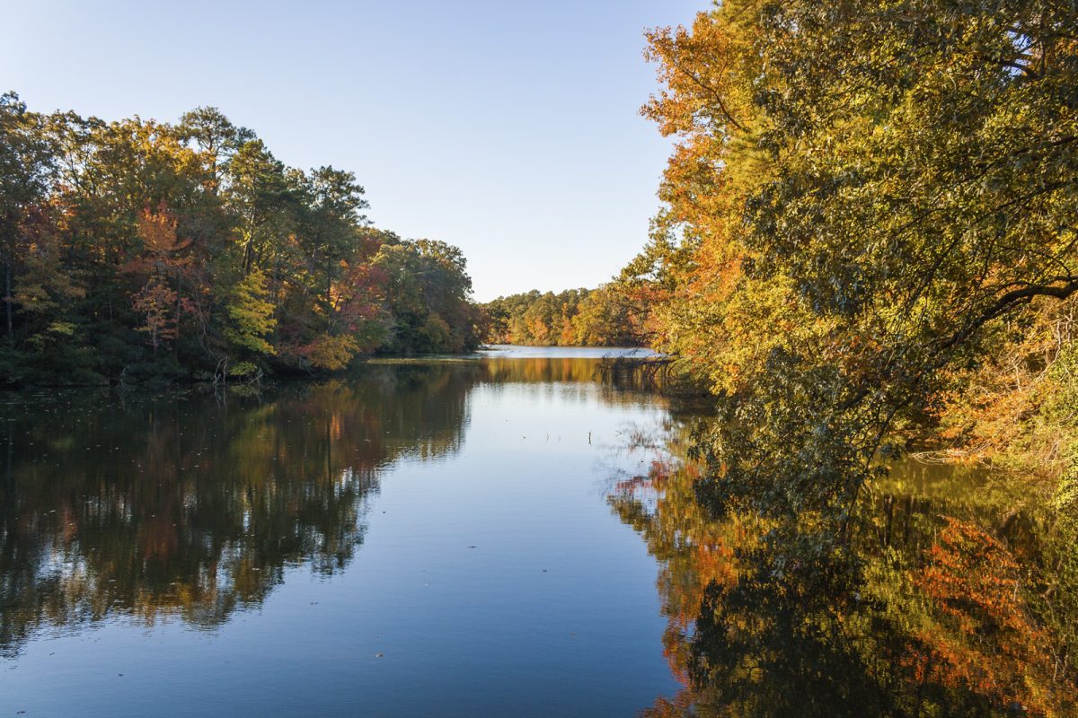 World Water Day – Monitoring the Water Quality of Lake Maury