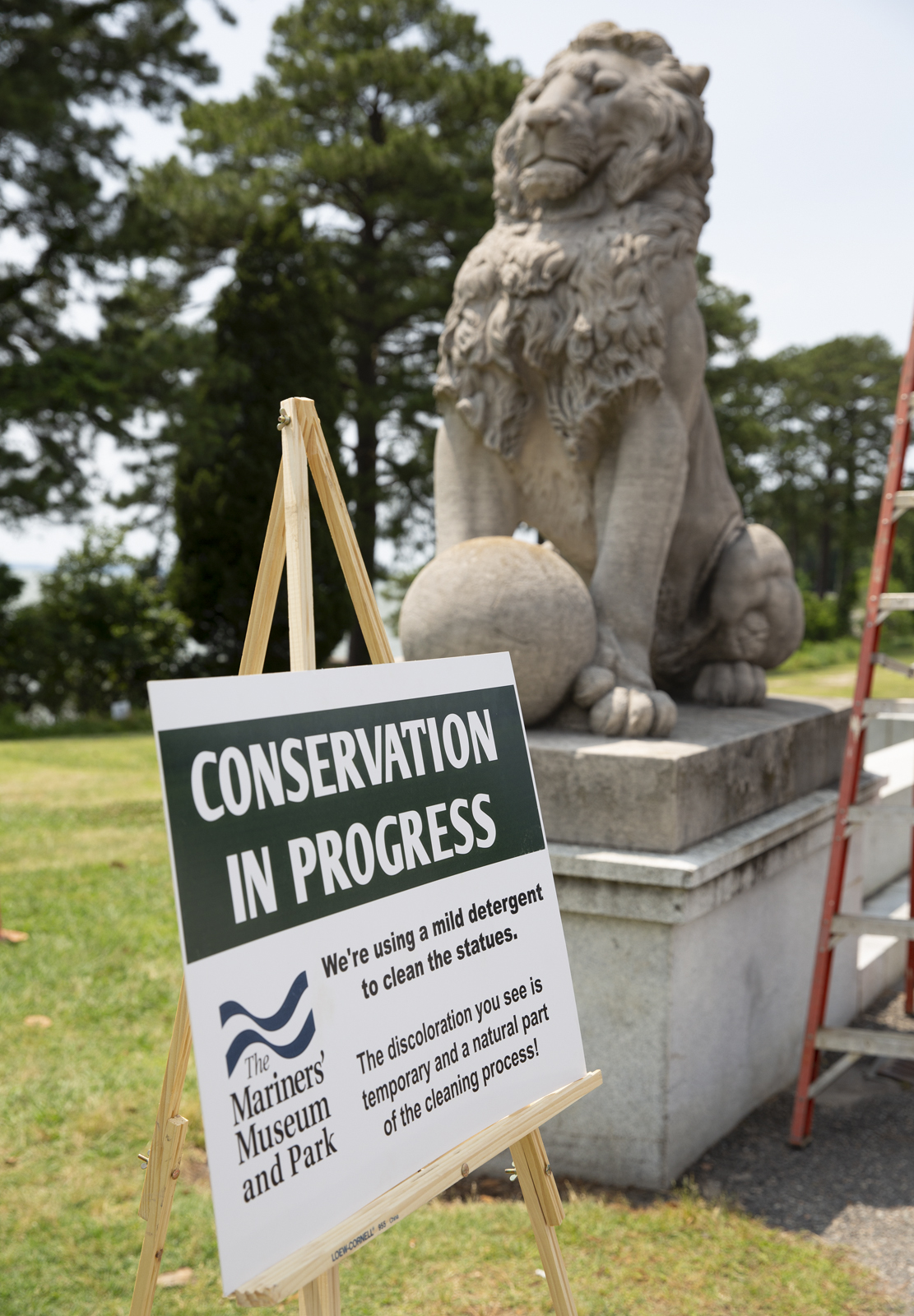 其他任何颜色的狮子。。。