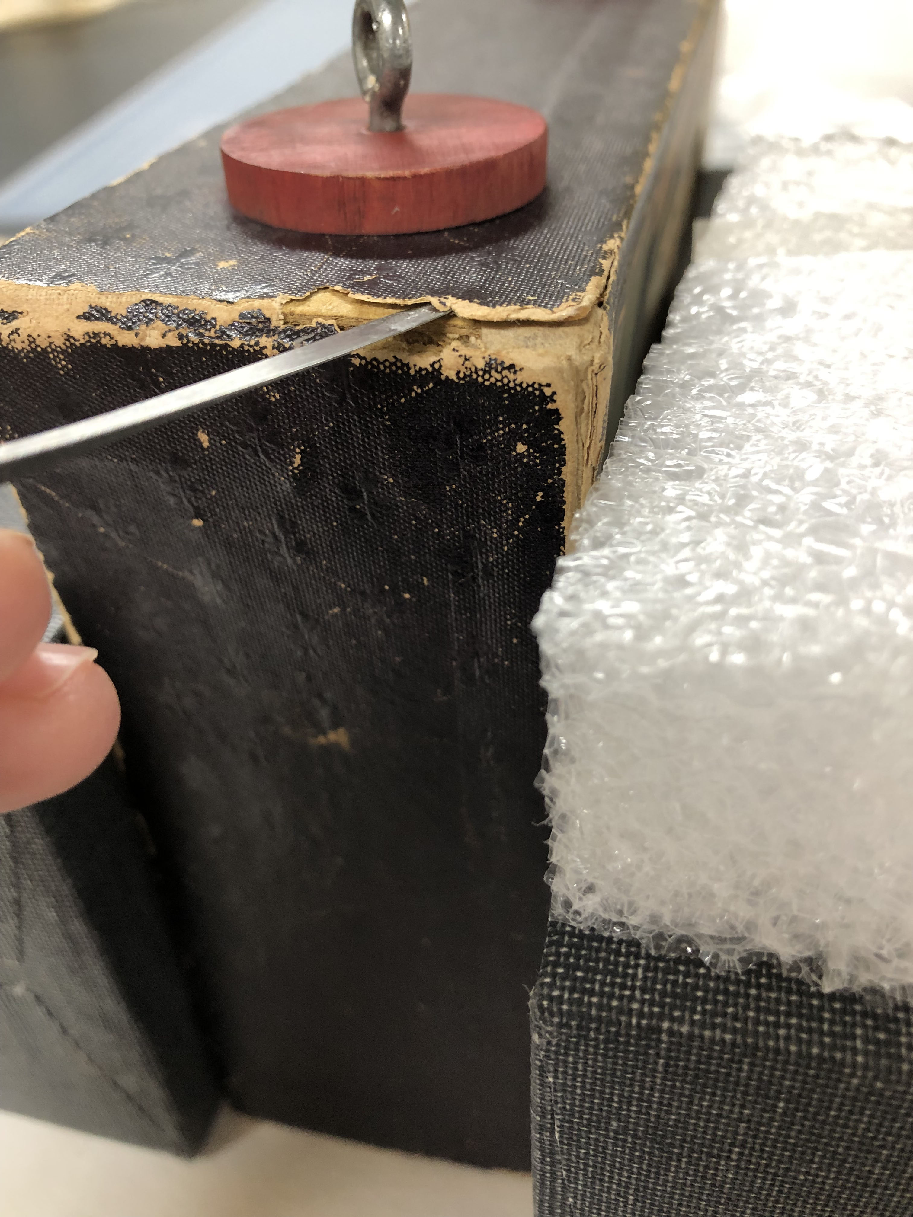 保护处理玩具AHOY！2019年