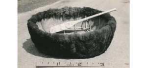 牛船图像显示3英尺的大小