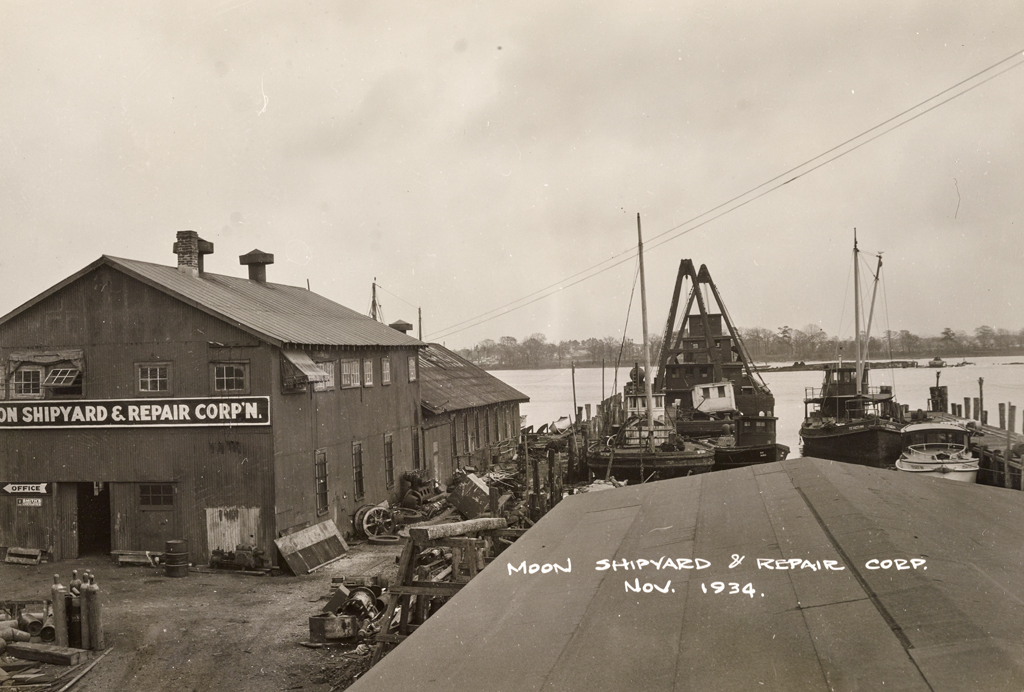 兔子洞带我去月球