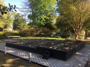 水手博物馆公园授粉者花园的侧视图