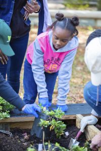 来自L.F.Palmers的三年级学生初级与同学和半岛大师博物馆一起工作在洗车店的博物馆公园的Collinator花园里。