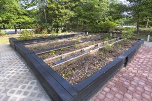 开阔的花园视野