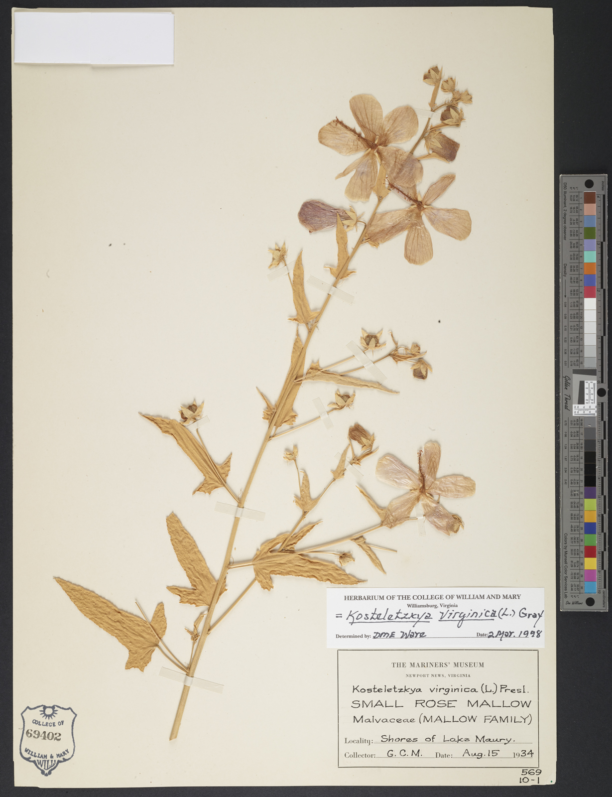 植物压力，1935年