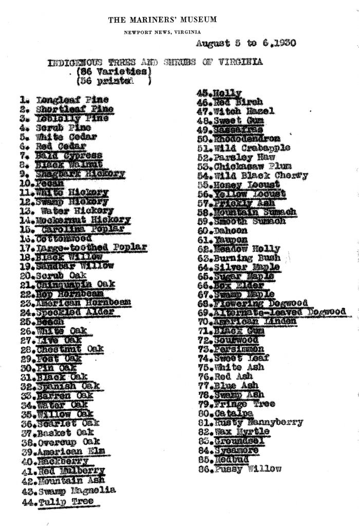 植物在公园，1930年