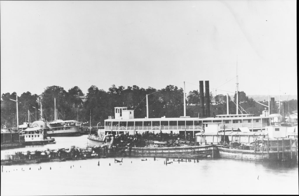 安德鲁·哈德给马装货