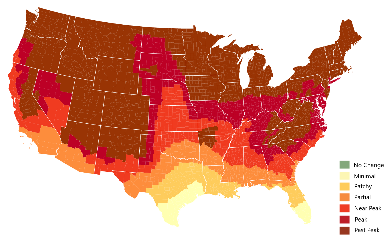 10月25日秋季地图