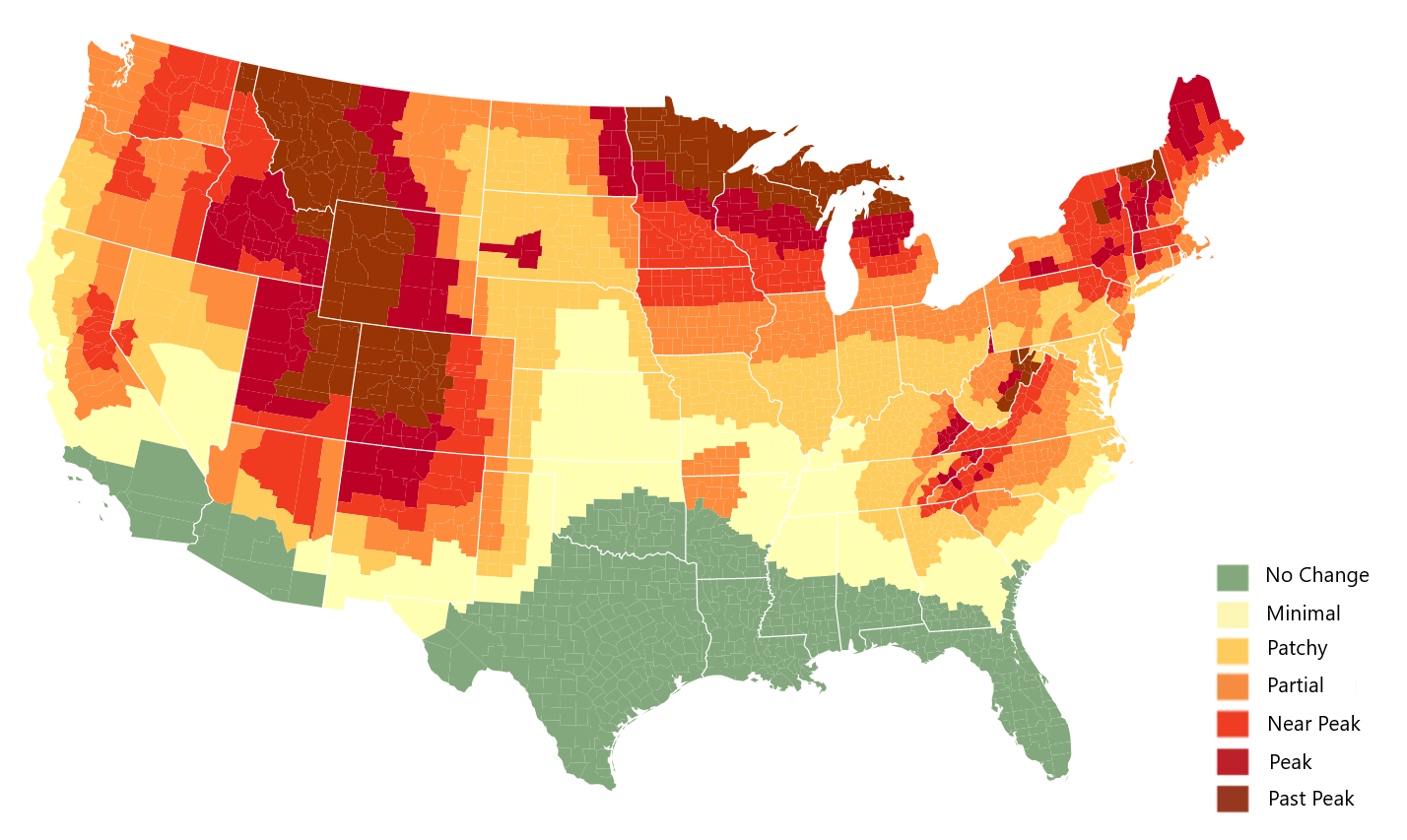 10月4日秋季地图