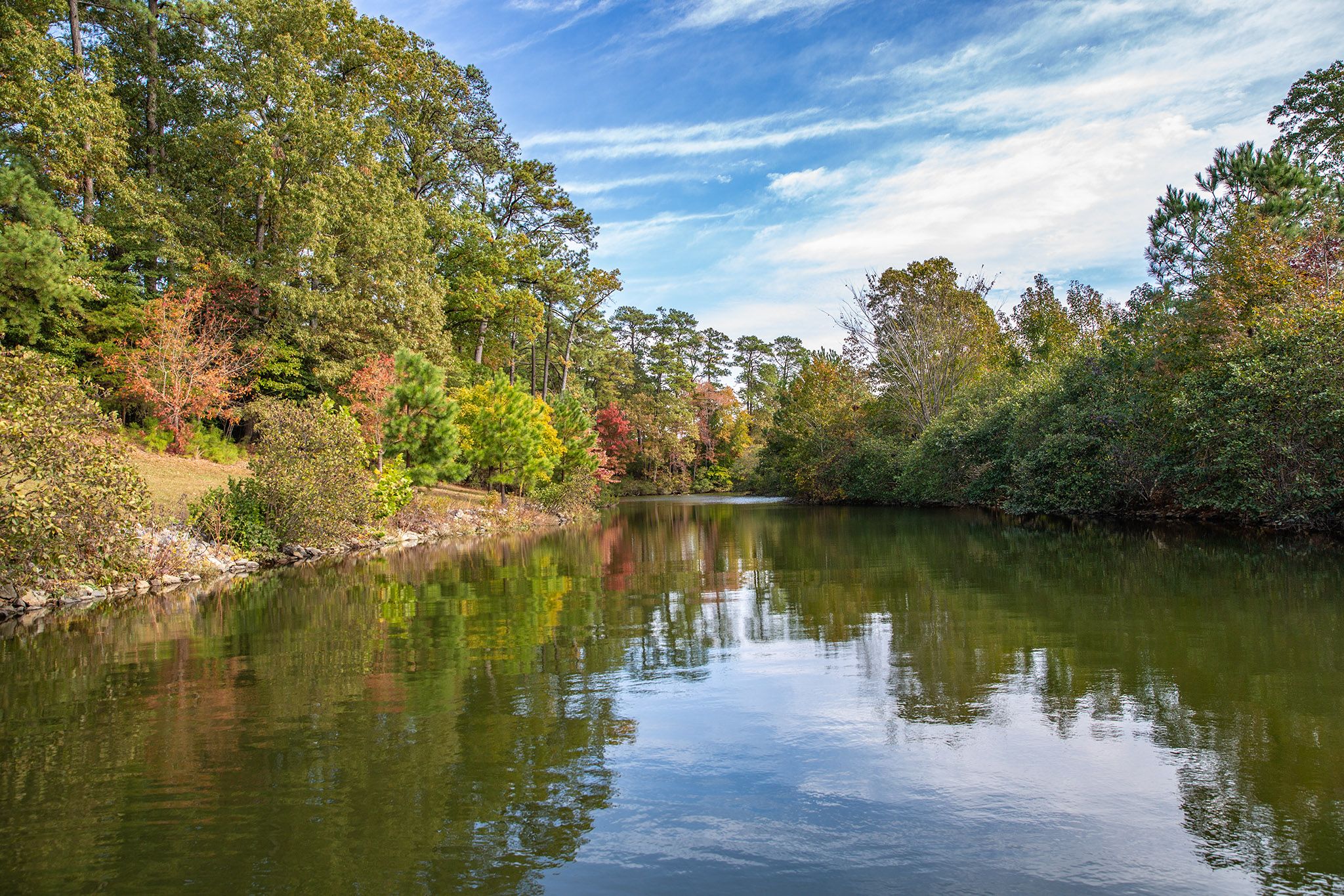 公园里的一块块颜色