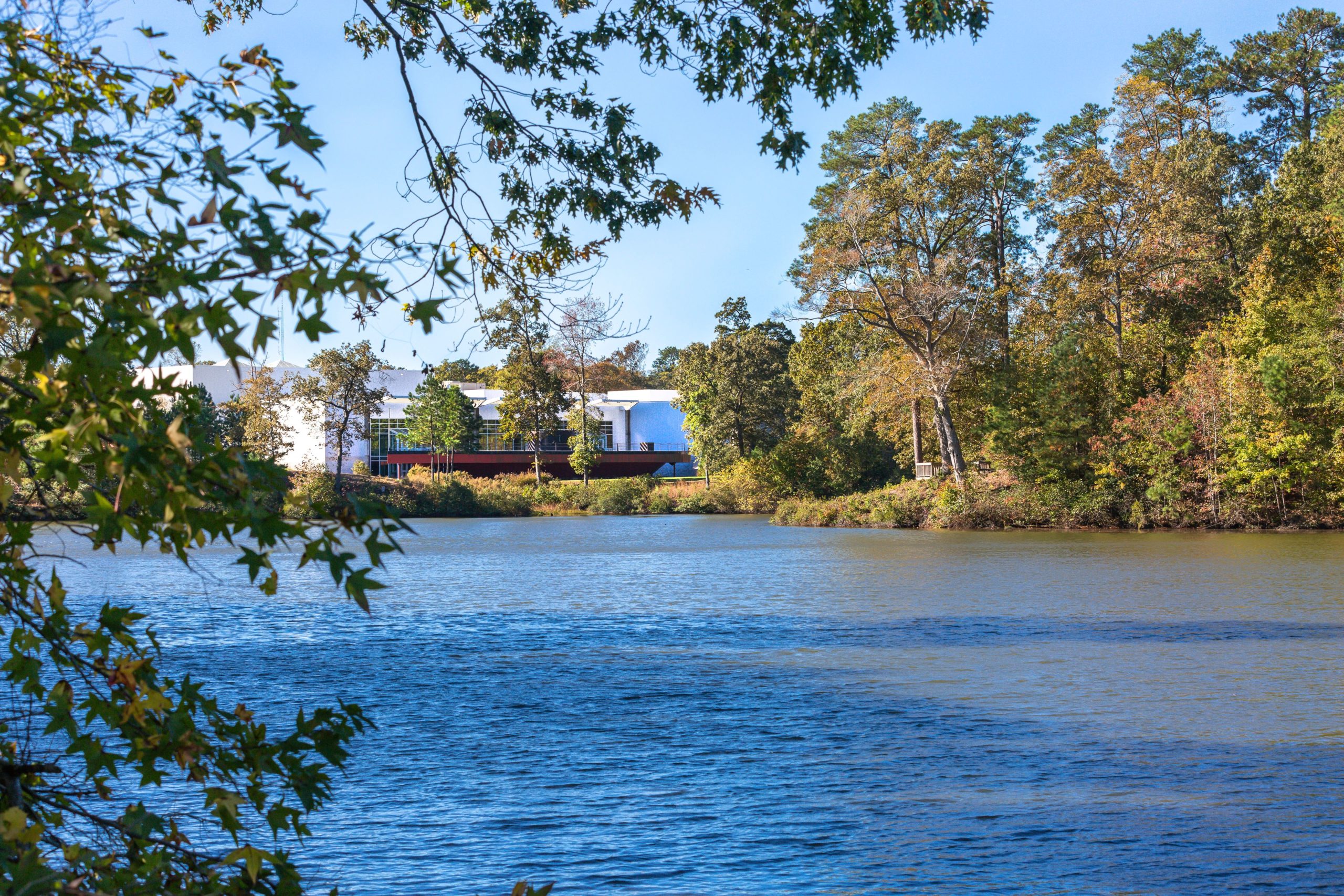 公园里最小的秋色