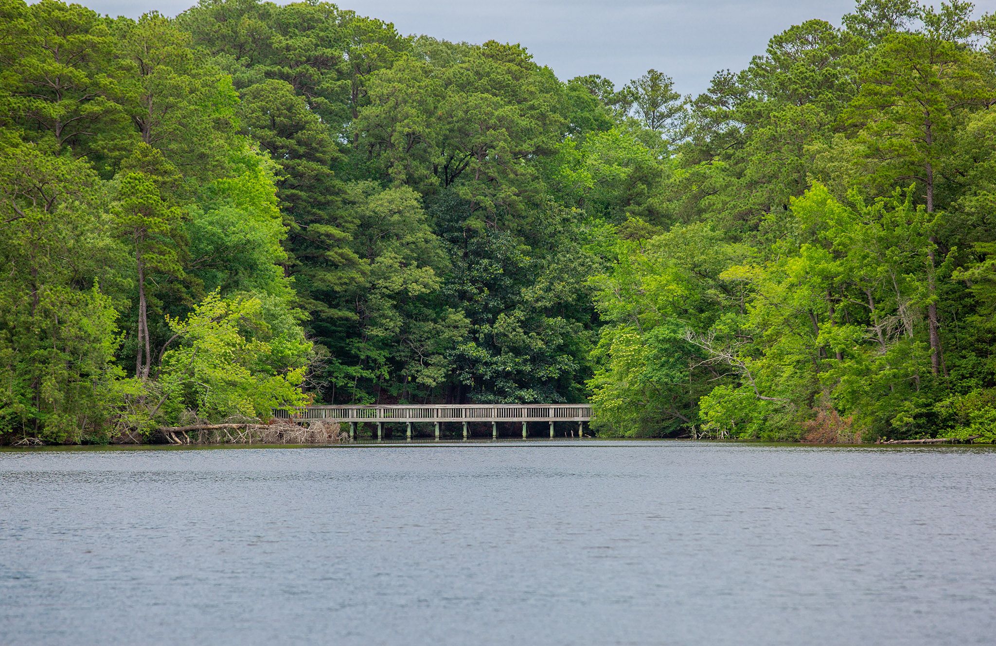 公园内没有颜色变化