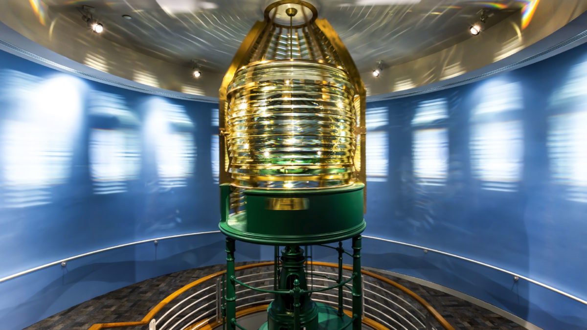 一年的反思：我们最喜欢的2021年照片