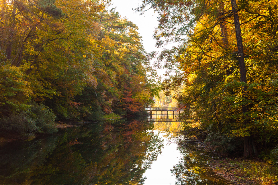 View of the Mariners' Park