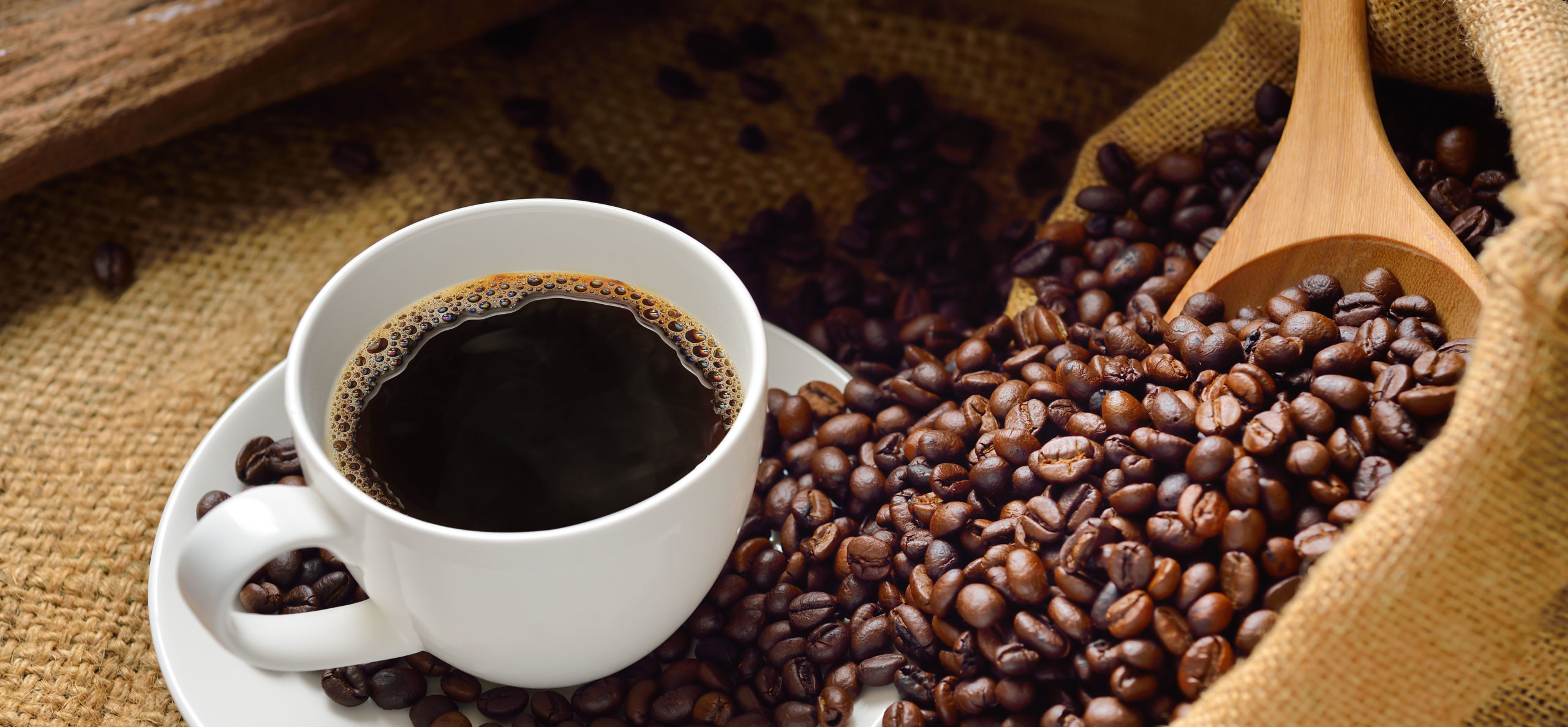 Coffee: The World in Your Cup