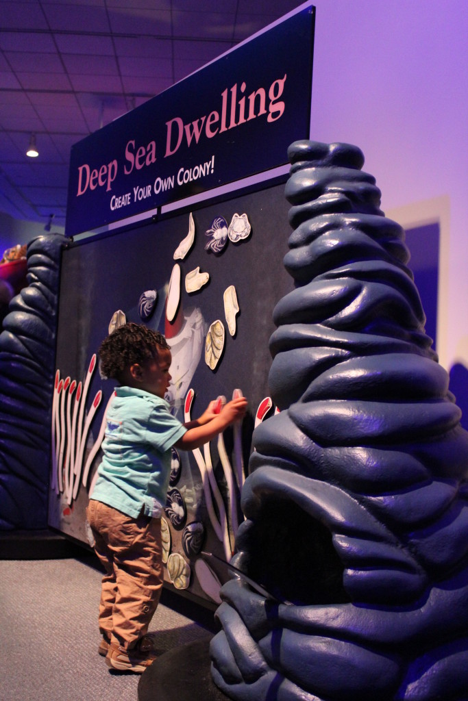 创造你自己的海洋居住殖民地