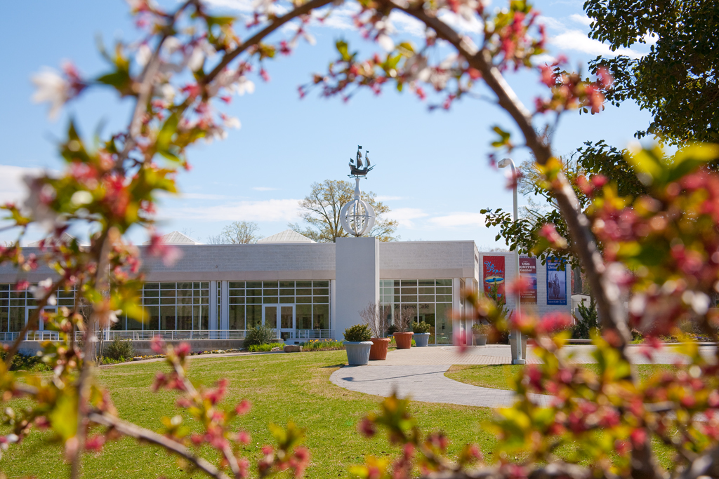 博物馆春季入口