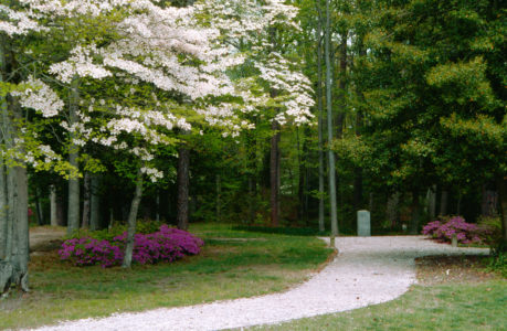 水手公园步道入口