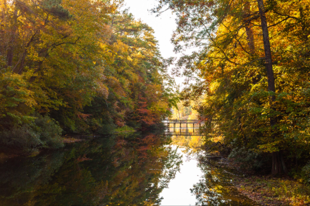 水手公园的景色